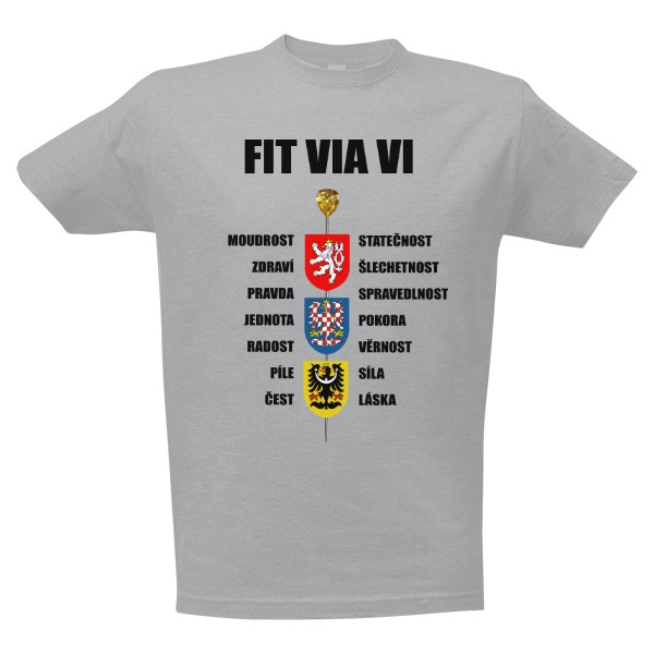 FIT VIA VI a 14 ctností českých králů